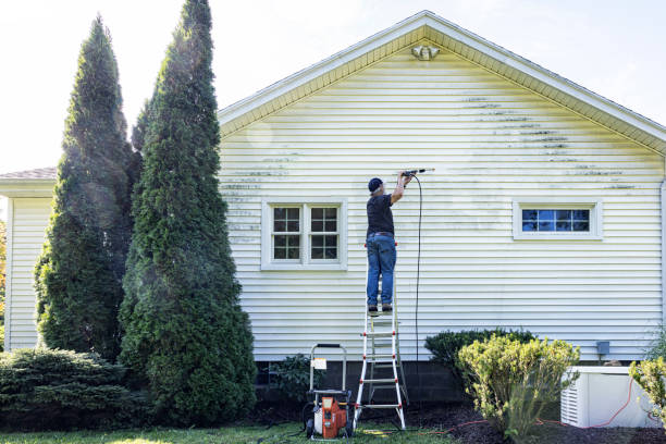 Professional Pressure Washing in Lynden, WA